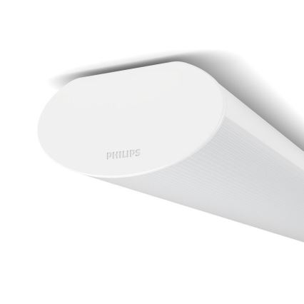 Philips - LED Iluminación cocina LED/50W/230V 4000K