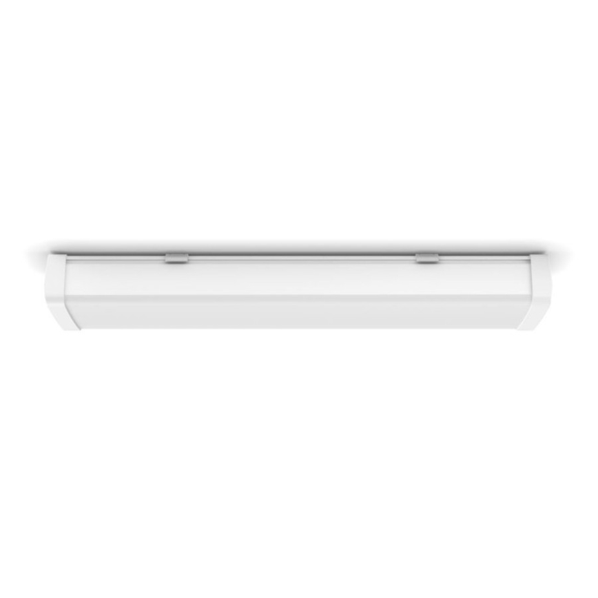 Philips 31248/31/P0 - Lámpara técnica LED AQUALINE LED/24W/230V IP65