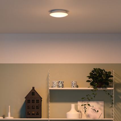 Philips 32096/31/P0 - Plafón MYLIVING MAUVE 4xLED/2,5W/230V