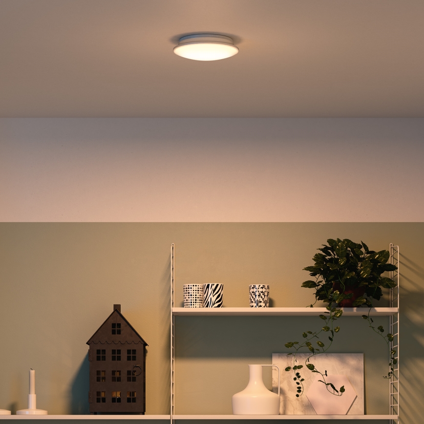 Philips 32096/31/P0 - Plafón MYLIVING MAUVE 4xLED/2,5W/230V