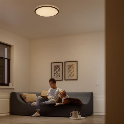 Philips 32809/31/P0 - Plafón LED regulable CANAVAL LED/18W/230V