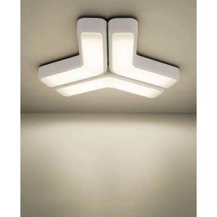 Philips 33100/31/16 - Aplique MYLIVING PLAYFUL 2x2G7/11W blanco
