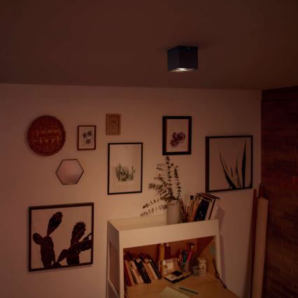 Philips - Foco LED regulable/4,5W/230V