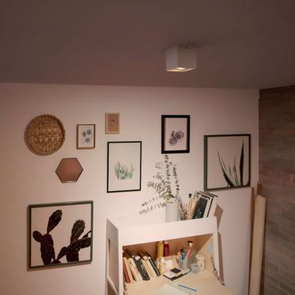 Philips - Foco empotrable LED regulable LED/4,5W/230V