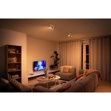 Philips 50602/31/P0 - LED Foco BUKKO 2xLED/4,5W/230V