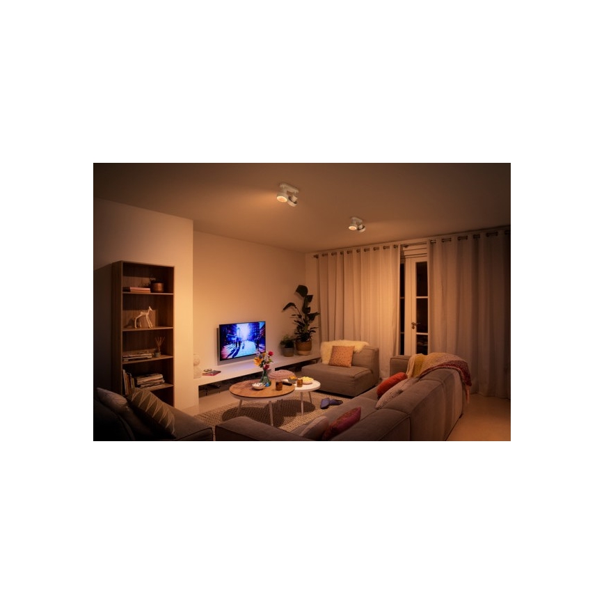 Philips 50602/31/P0 - LED Foco BUKKO 2xLED/4,5W/230V
