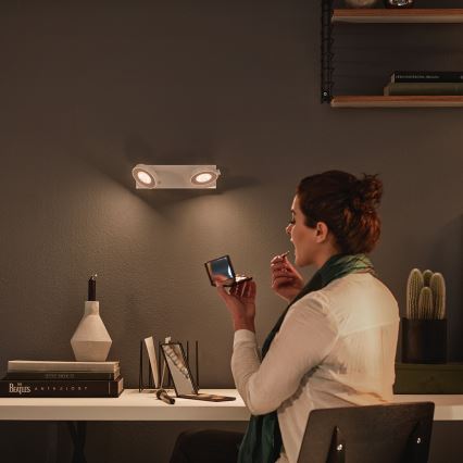Philips 53172/31/P0 - Foco regulable MYLIVING CLOCKWORK 2xLED/4,5W