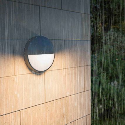 Philips - Aplique de pared para exterior CAPRICORN LED/4,3W/230V IP44