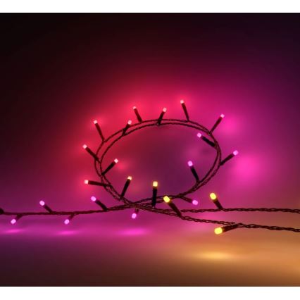 Philips - Cadena LED RGBW regulable para exteriores HUE WHITE AND COLOR AMBIANCE 500xLED 44,4 m 2000-6500K IP54