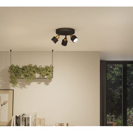 Philips - Foco NIALL 3xGU10/5W/230V negro/latón