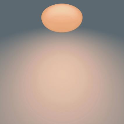 Philips - Lámpara de techo LED regulable LED/23W/230V + mando a distancia