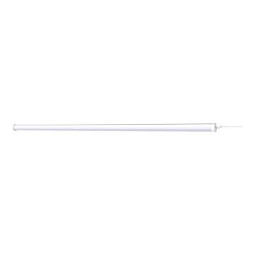 Philips - Lámpara industrial LED PROJECTLINE LED/54W/230V 150 cm IP65