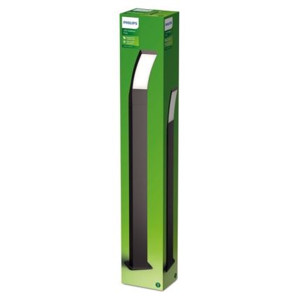 Philips - Lámpara LED de exterior LED/12W/230V 4000K 96 cm IP44
