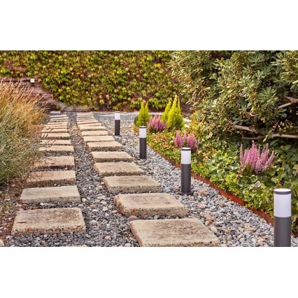 Philips - Lámpara LED de exterior GARDENLINK LED/24W/230V 2700K IP44