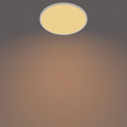 Philips - Lámpara LED exterior regulable SUPERSLIM SCENE SWITCH LED/15W/230V IP54 blanco