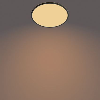 Philips - Lámpara LED exterior regulable SUPERSLIM SCENE SWITCH LED/15W/230V IP54 negro