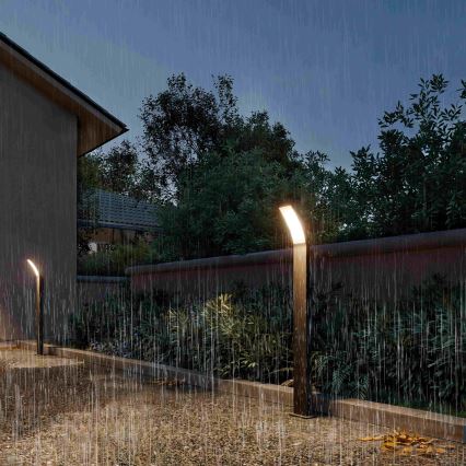 Philips - Lámpara LED exterior SPLAY LED/4,3W/230V 2700K 96 cm IP44