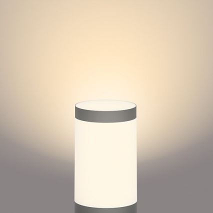 Philips - Lámpara LED exterior GARDENLINK LED/24W/230V 2700K IP44