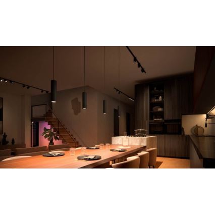 Philips - Lámpara colgante regulable con cable para sistema de riel Hue PERIFO LED RGB/5,2W/24V 2000-6500K