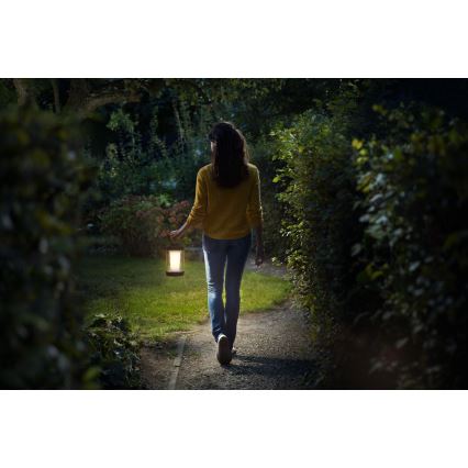 Philips - Lámpara portátil LED regulable CICERO LED/6W/5V 4000 mAh IP54