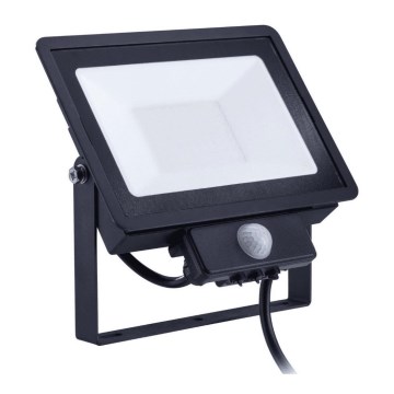 Philips - Proyector LED con sensor DECOFLOOD LED/50W/230V IP65 CRI 90