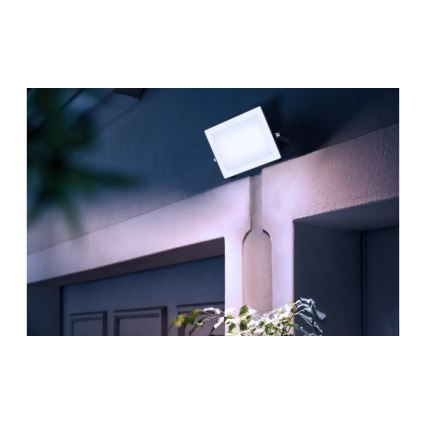 Philips - Proyector LED LOIS LED/50W/230V IP65 5000K