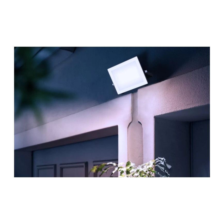 Philips - Proyector LED LOIS LED/50W/230V IP65 5000K