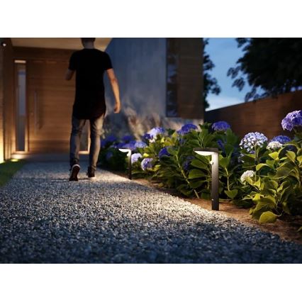 Philips - Lámpara LED exterior con sensor LED/9W/230V 2700K IP44