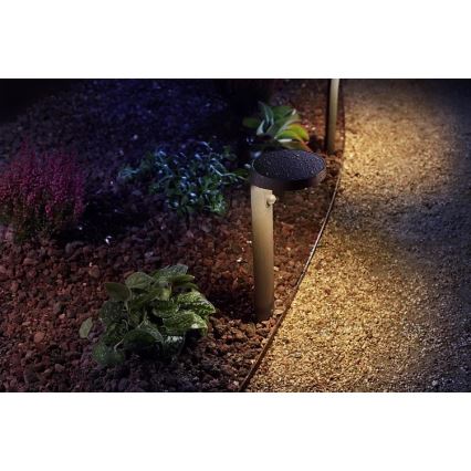 Philips - Lámpara LED exterior con sensor LED/9W/230V 2700K IP44