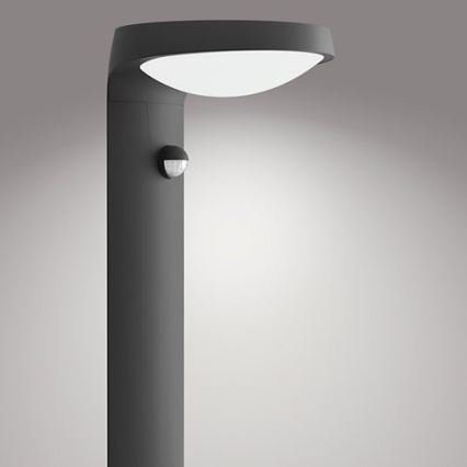 Philips - Lámpara LED exterior con sensor LED/9W/230V 4000K IP44