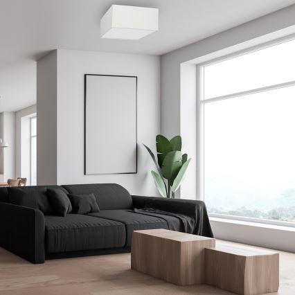 Plafón ALBION 2xE27/60W/230V
