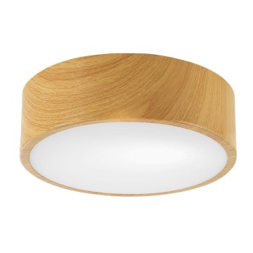 Plafón DANTE 1xE27/60W/230V diámetro 26 cm
