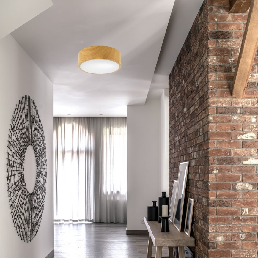 Plafón DANTE 1xE27/60W/230V diámetro 26 cm
