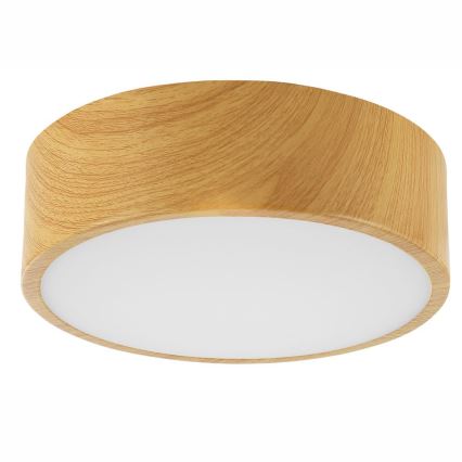 Plafón DANTE 1xE27/60W/230V diámetro 26 cm