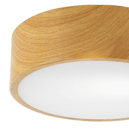 Plafón DANTE 1xE27/60W/230V diámetro 26 cm