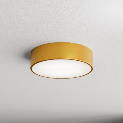 Plafón de baño CLEO 2xE27/24W/230V diá. 30 cm dorado IP54