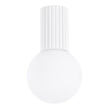 Plafón de baño HALO 1xG9/8W/230V diá. 12 cm IP44 blanco