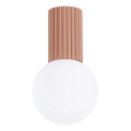 Plafón de baño HALO 1xG9/8W/230V diá. 12 cm IP44 marrón