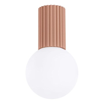 Plafón de baño HALO 1xG9/8W/230V diá. 12 cm IP44 marrón