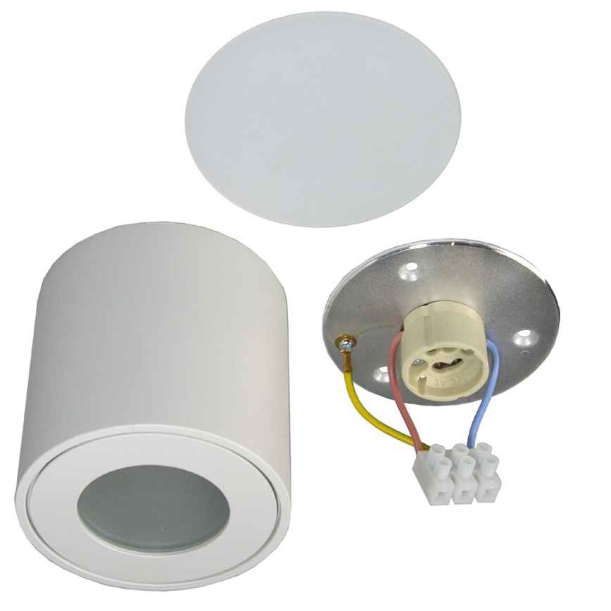 Plafón de exterior FARA 1xGU10/50W/230V IP54 blanco