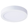 Plafón de techo LED/12W/230V 3000/4000/6000K Ø 17 cm blanco