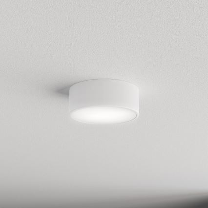 Plafón de techo para baño con sensor CLEO, 1x E27/24W/230V, Ø 20 cm, IP54, blanco