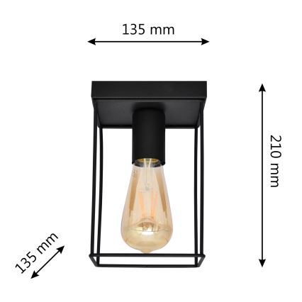 Plafón FINN 1xE27/15W/230V negro