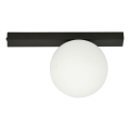 Plafón FIT 1xE14/10W/230V negro/blanco