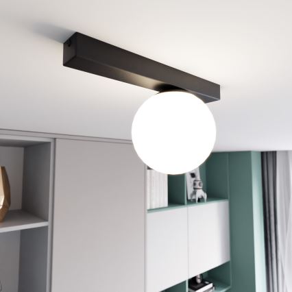 Plafón FIT 1xE14/10W/230V negro/blanco