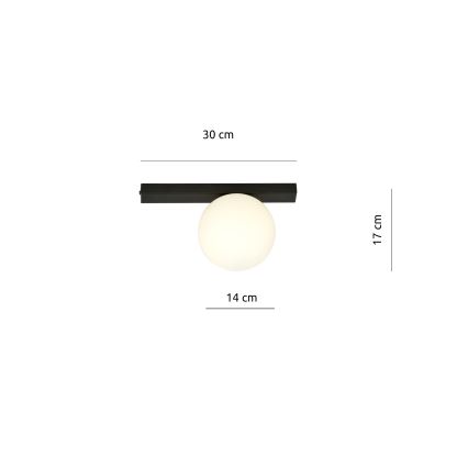 Plafón FIT 1xE14/10W/230V negro/blanco