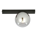 Plafón FIT 1xE14/10W/230V negro/gris