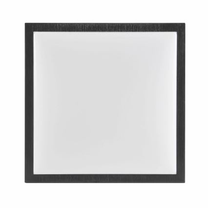 Plafón KAZIMIERZ 2xE27/20W/230V 29,5x29,5 cm negro