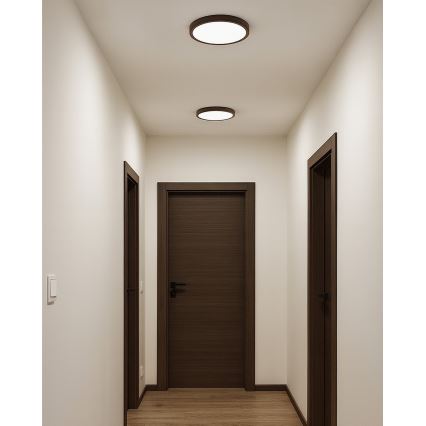 Plafón LED 18W/230V 3000/4000/6500K Ø 23 cm, marrón