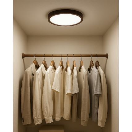 Plafón LED 18W/230V 3000/4000/6500K Ø 23 cm, marrón